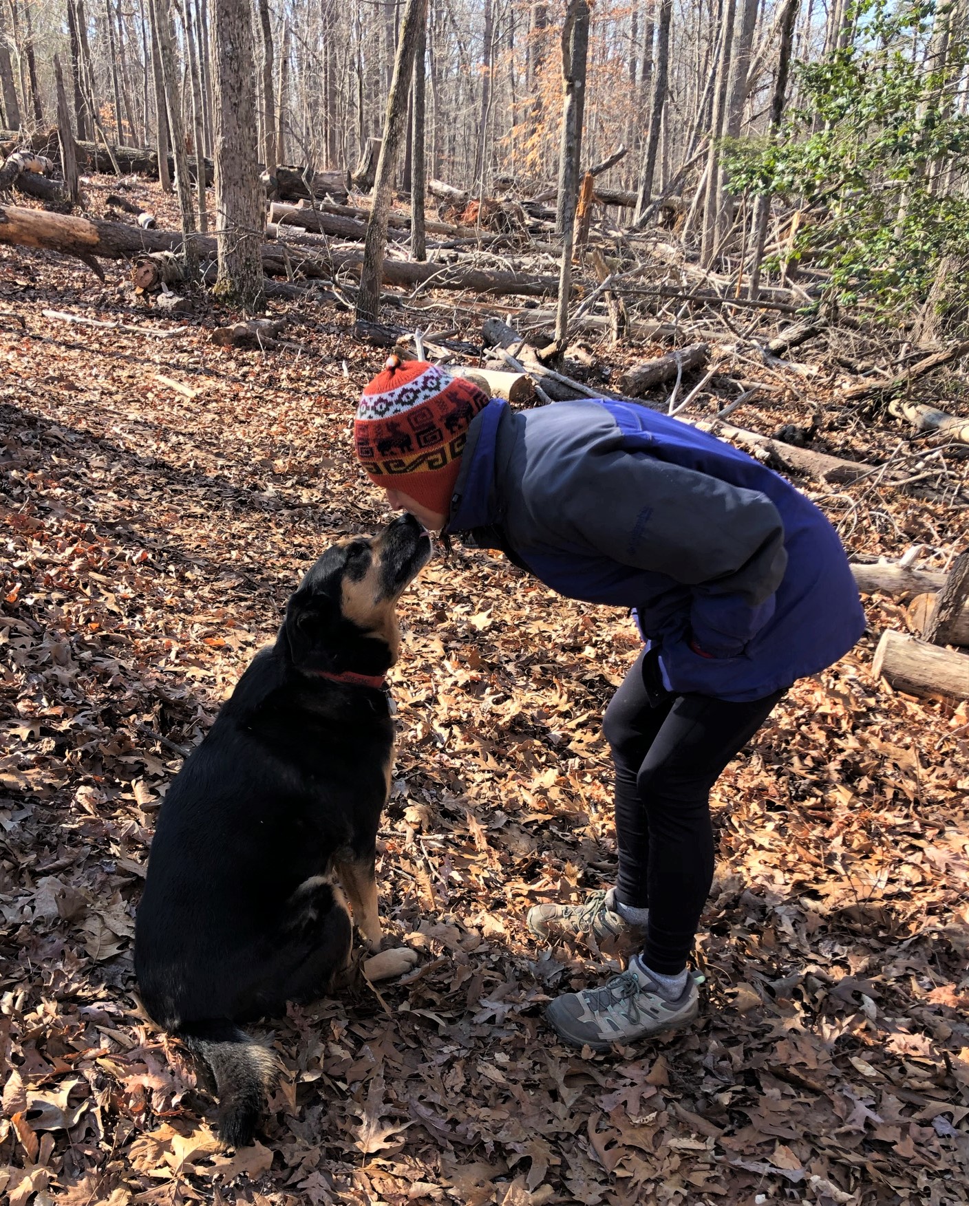 Dog kissing a woman in the woods