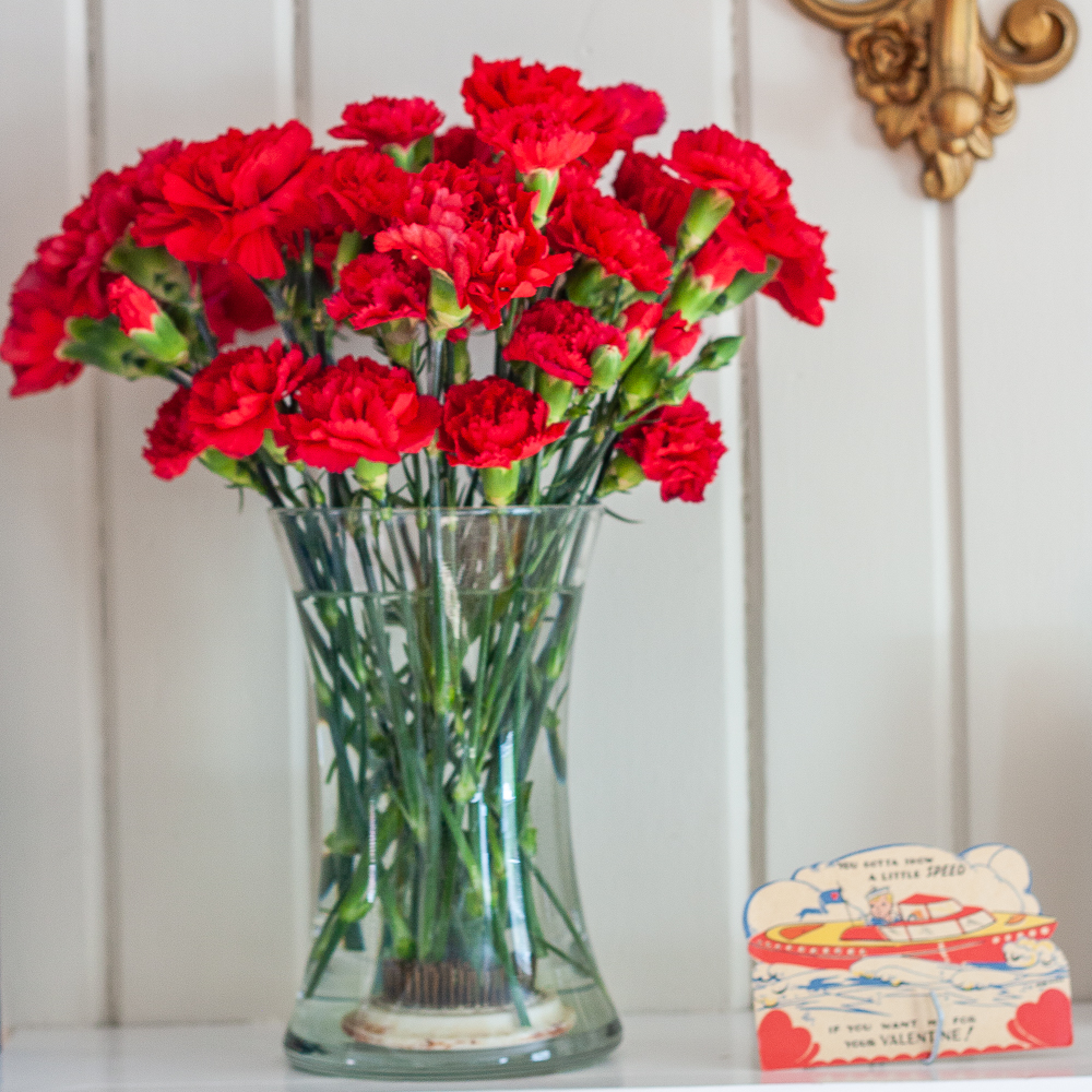 Red Carnations on a Valentine's Day Mantel