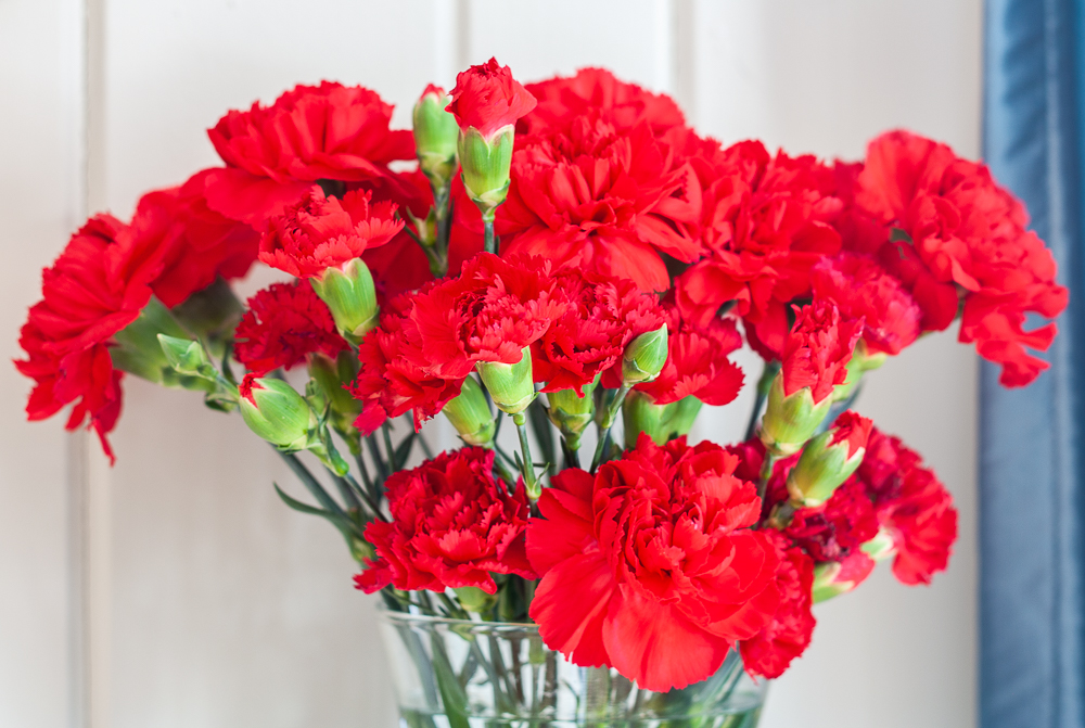 Red Carnations on a Valentine's Day Mantel