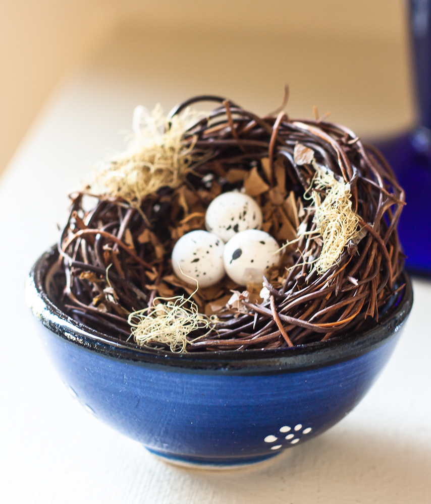Nest in a Greek pottery bowl
