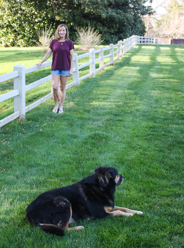 Stitch Fix Review - Corinne Performance Cross Back Tee with Just Black High Rise Fray Hem Short