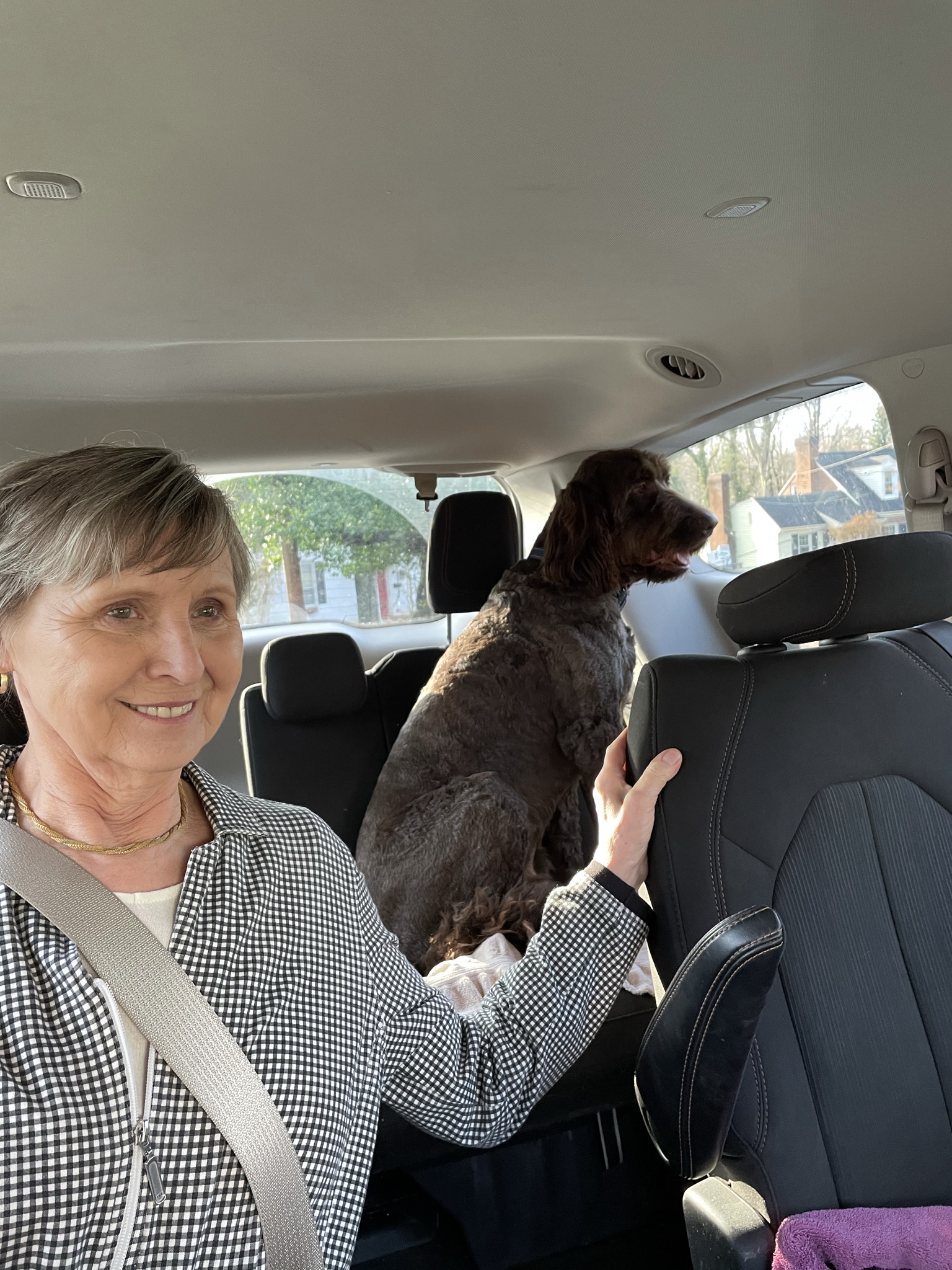 Woman and dog in a van