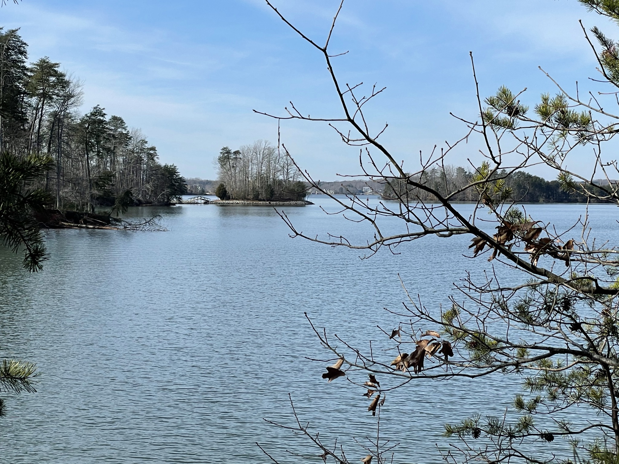 View of Turtle Island in Smith Mountain Lake State Park