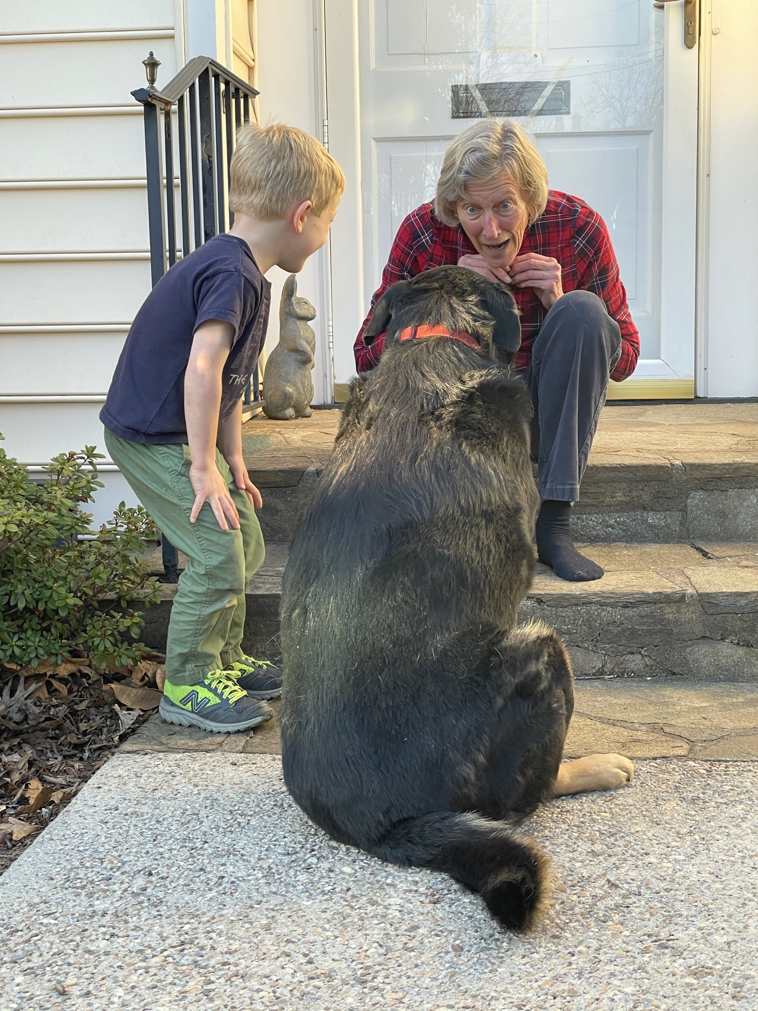 Dog, woman, and little boy