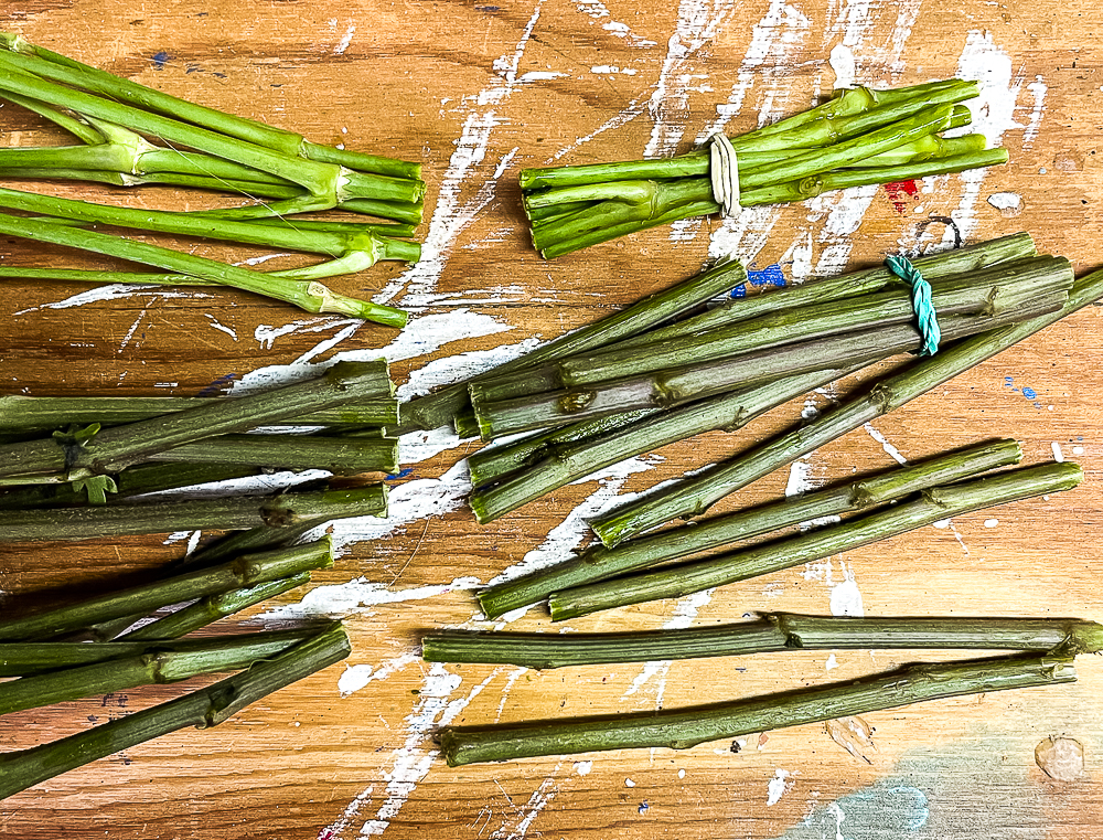 Cut floral stems