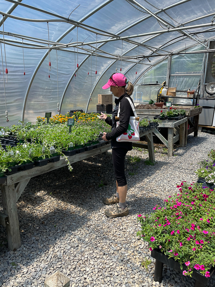 Woman in a greenhouse shopping for plants