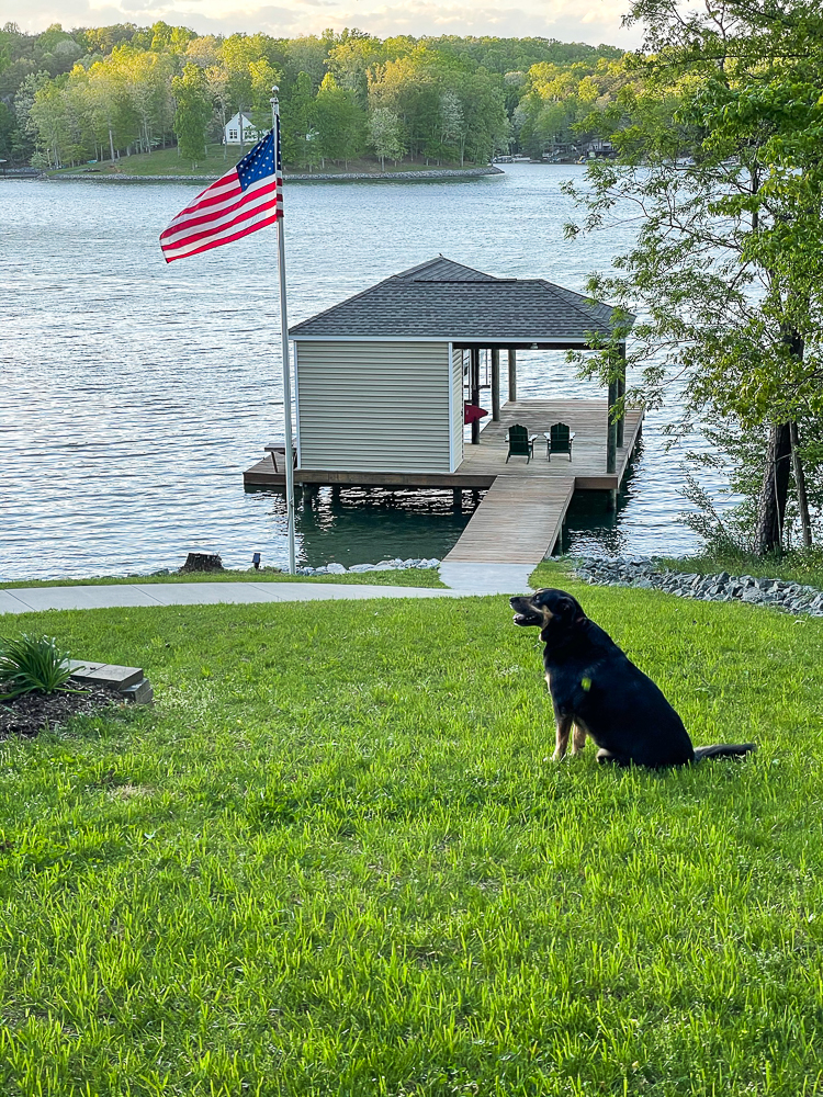 Dock, American Flag and dog at Smith Mountain Lake, VA