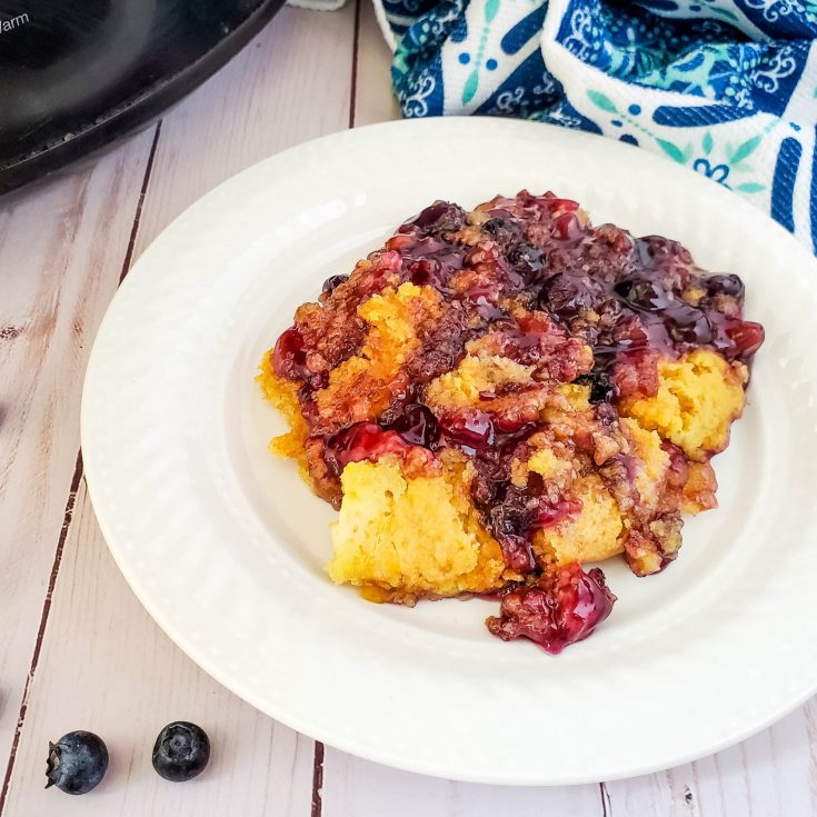 Crockpot Lemon Blueberry Dump Cake