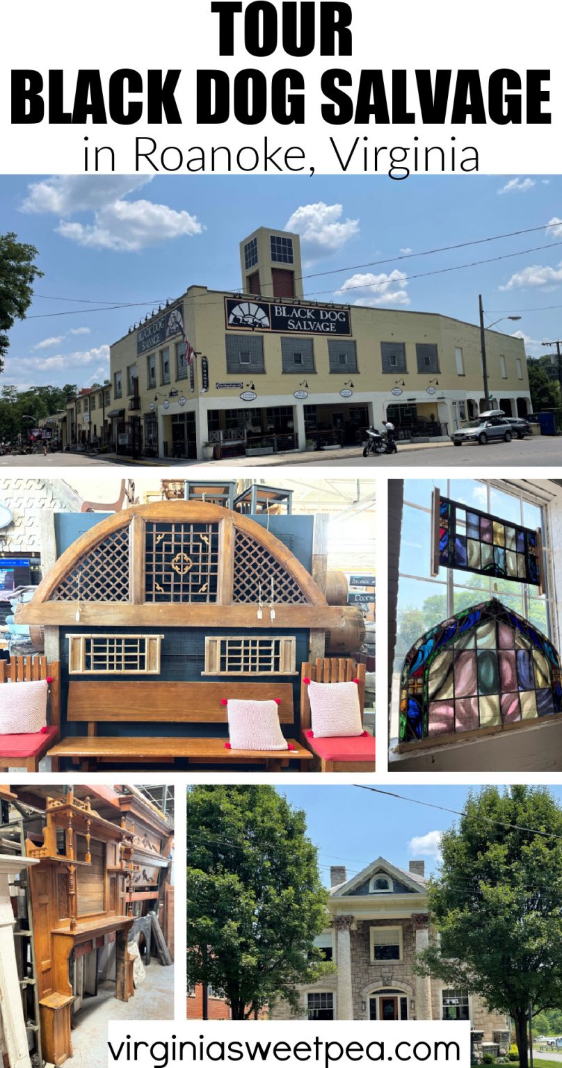 Touring Black Dog Salvage in Roanoke, Virginia Sweet Pea