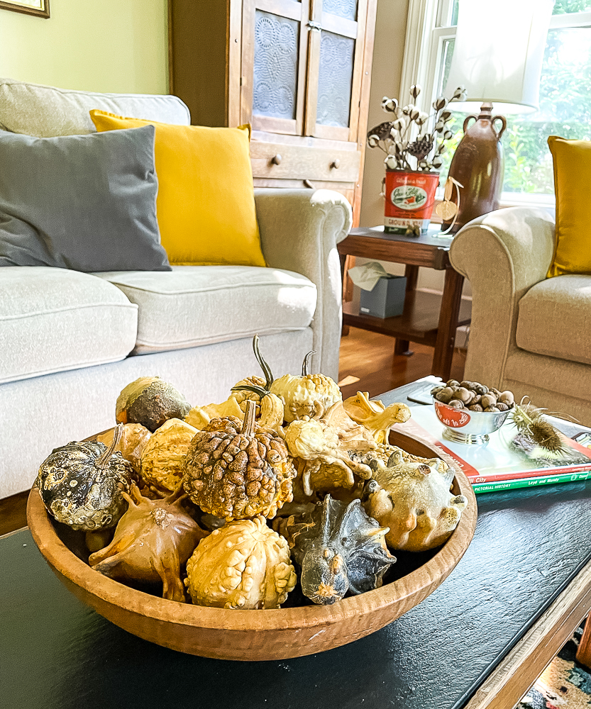 Dried gourds in a wood bowl on a coffee table