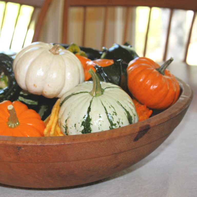How to Make Pumpkins and Gourds Shine for Display