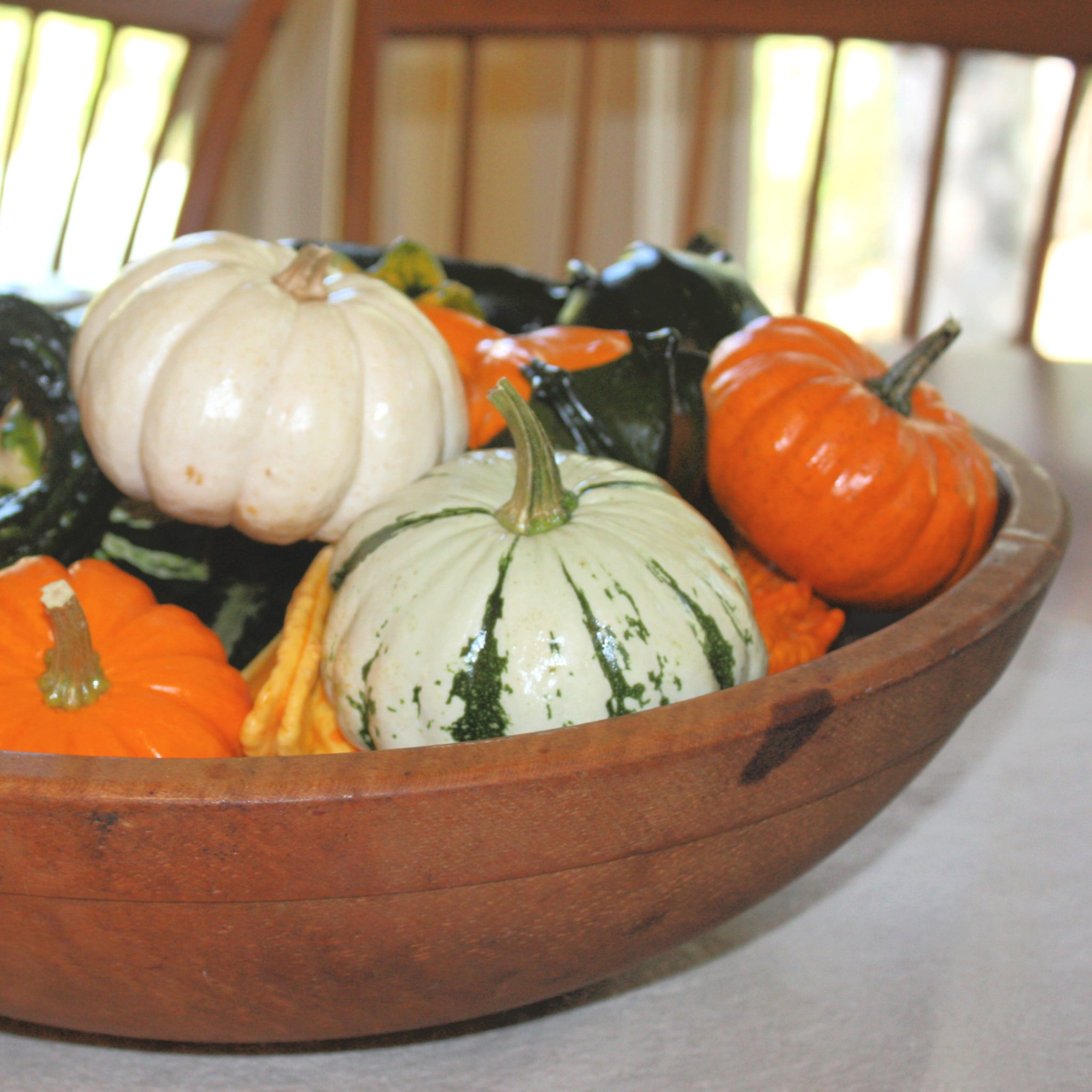 How to Make Pumpkins and Gourds Shine for Display