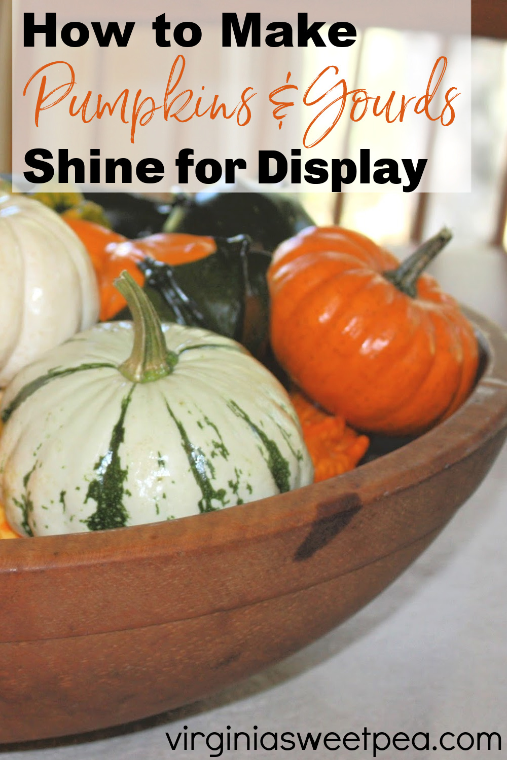 How to Make Pumpkins and Gourds Shine for Display