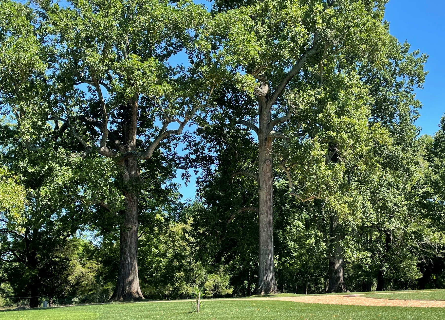 Touring Poplar Forest in Forest, VA - Thomas Jefferson's Summer Home