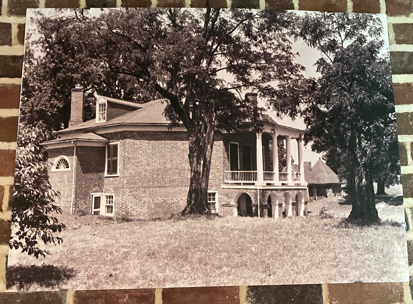 Poplar Forest before restoration