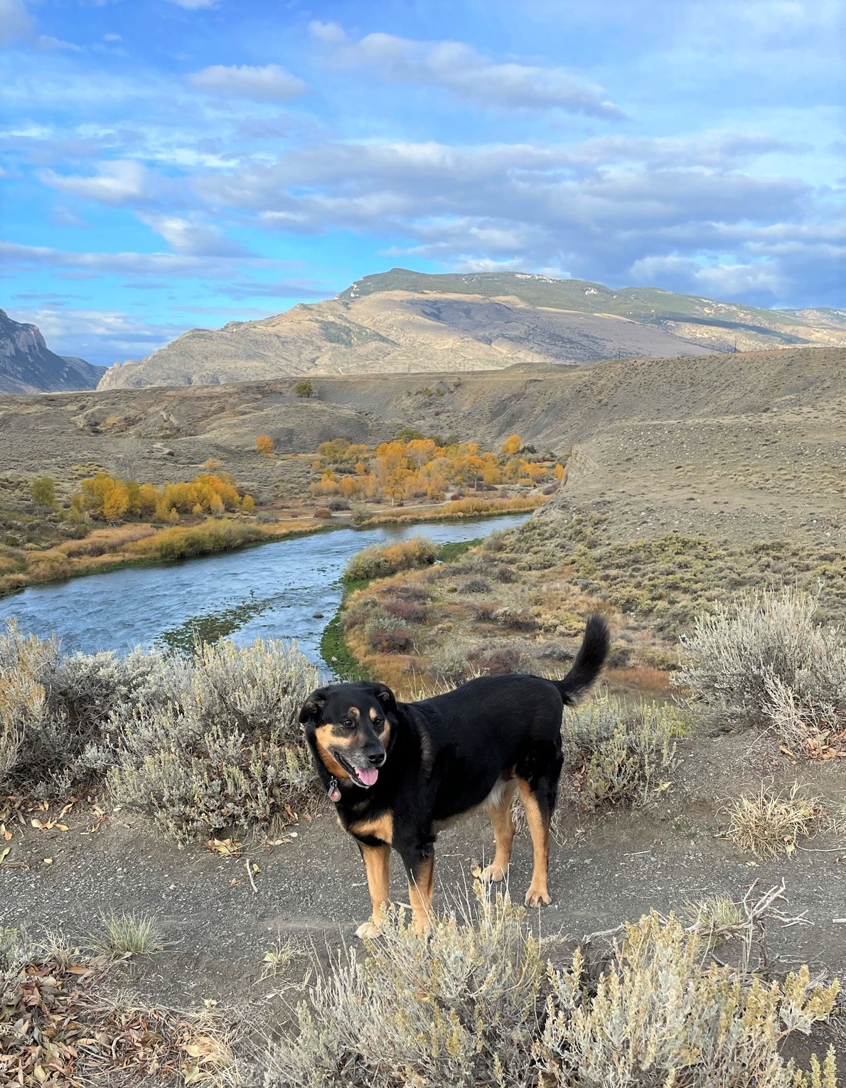 Hiking trail in Cody, Wyoming