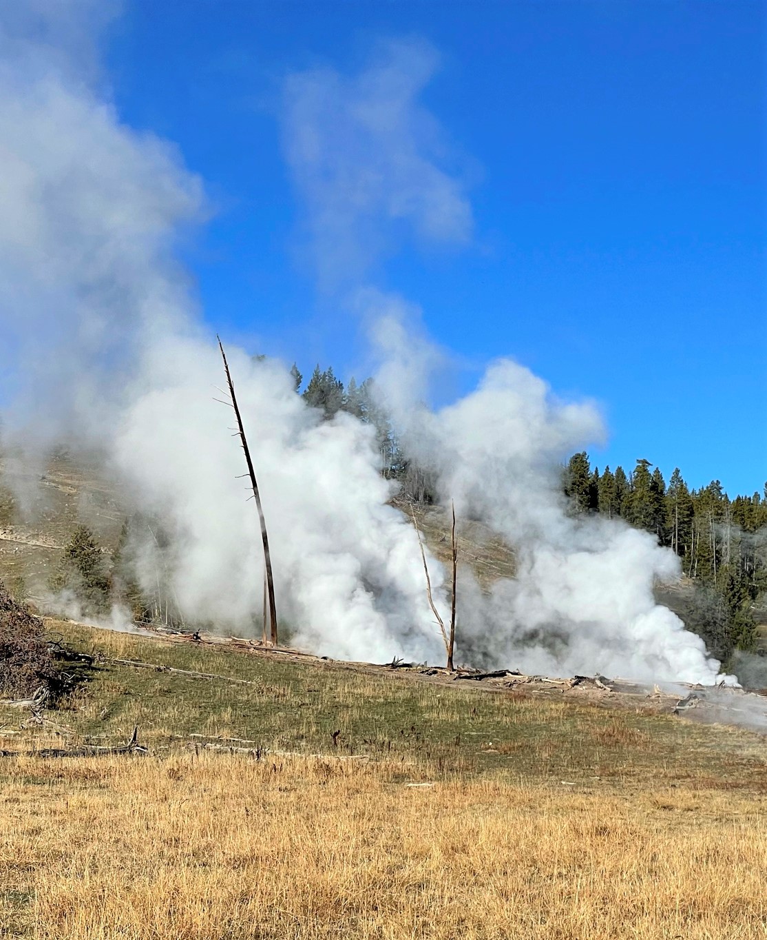 Mammoth Hot Springs in Yellowstone National Park