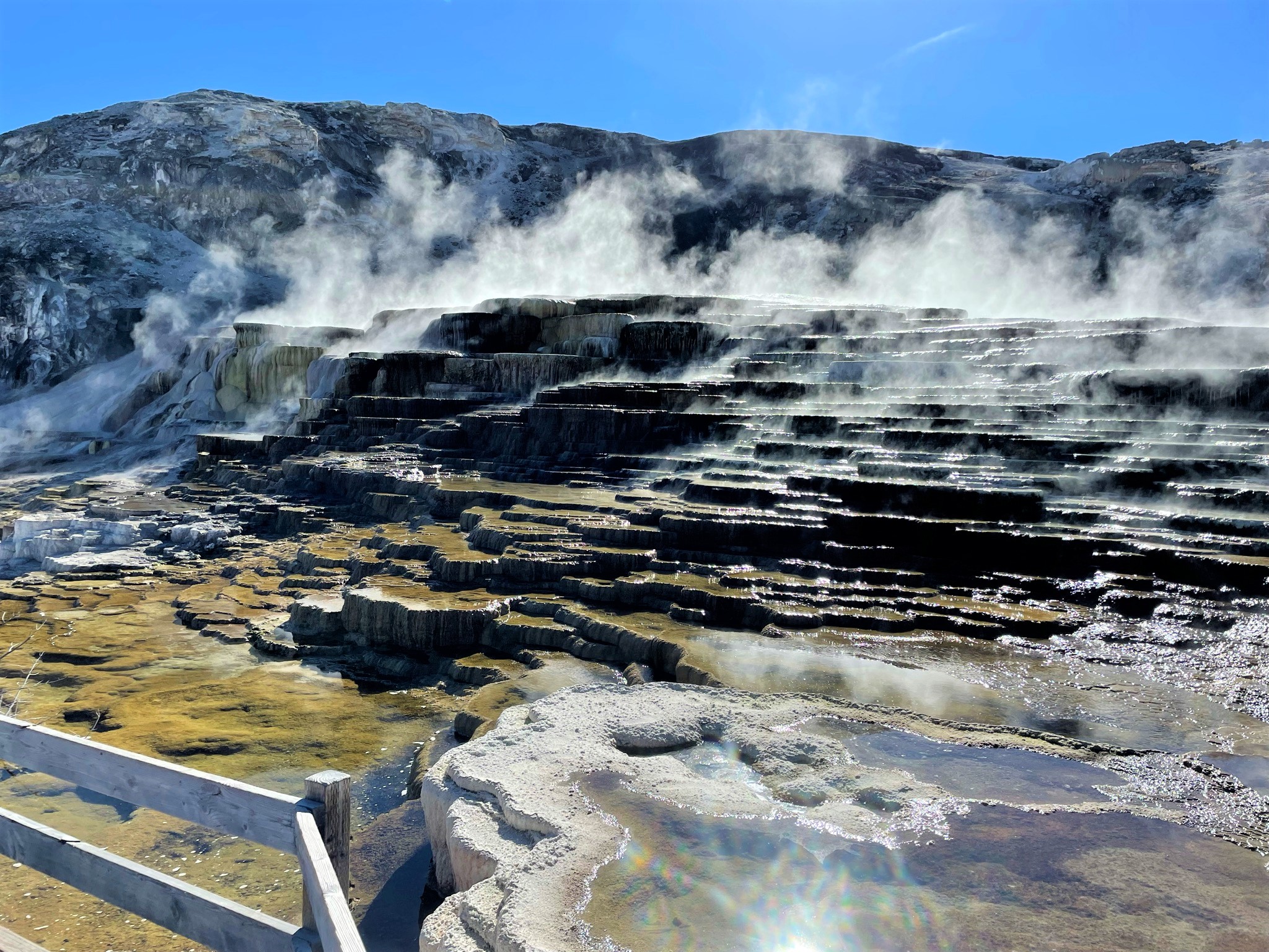 Mammoth Hot Springs in Yellowstone National Park