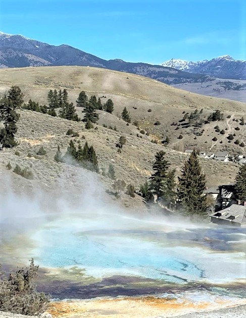 Mammoth Hot Springs in Yellowstone National Park