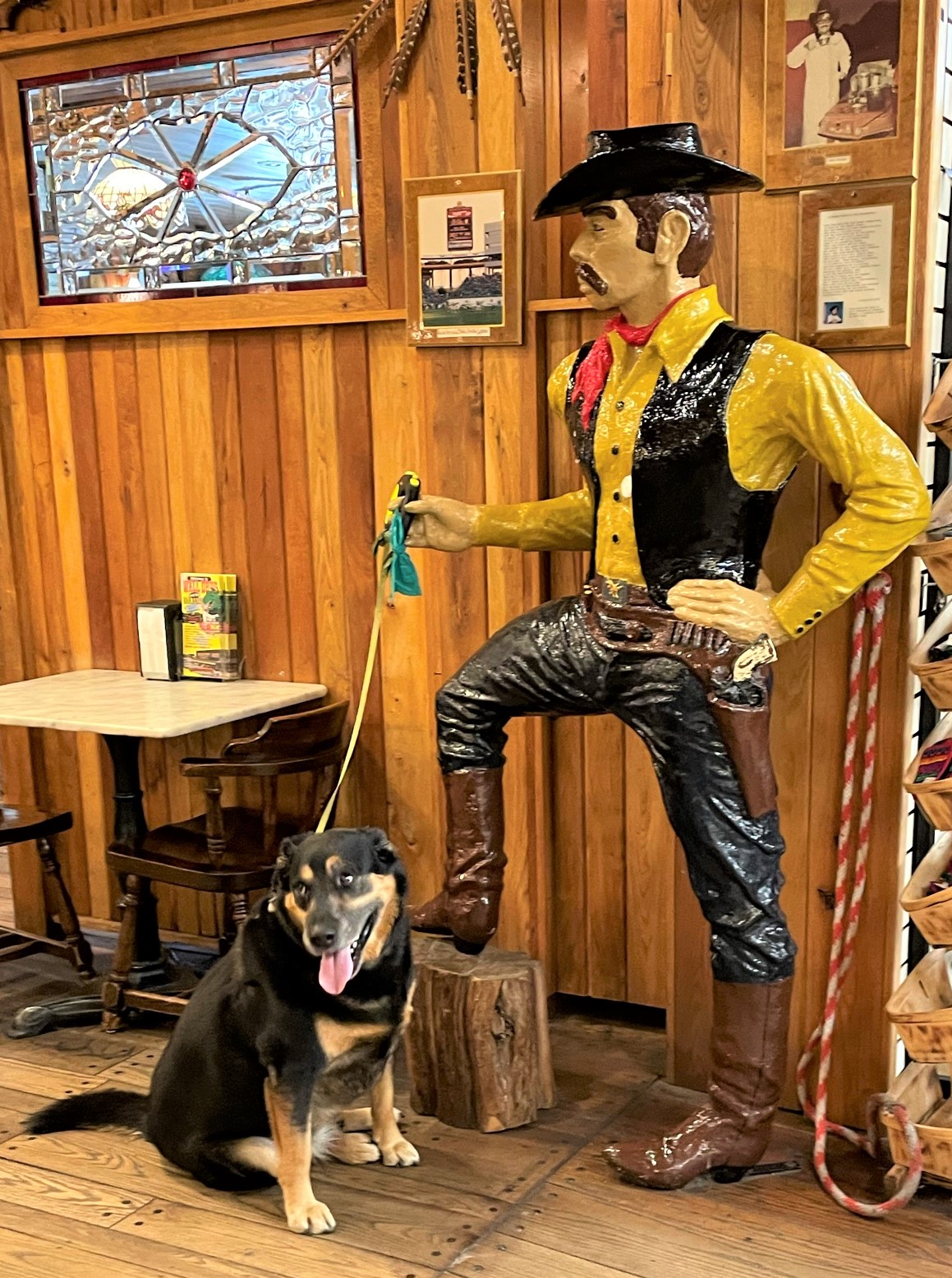 Wall Drug in South Dakota