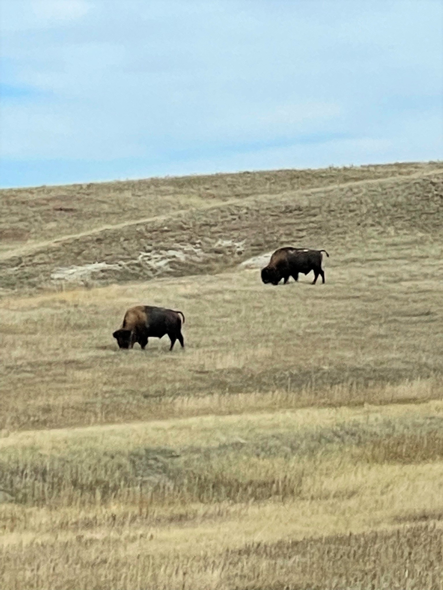 The Badlands in South Dakota