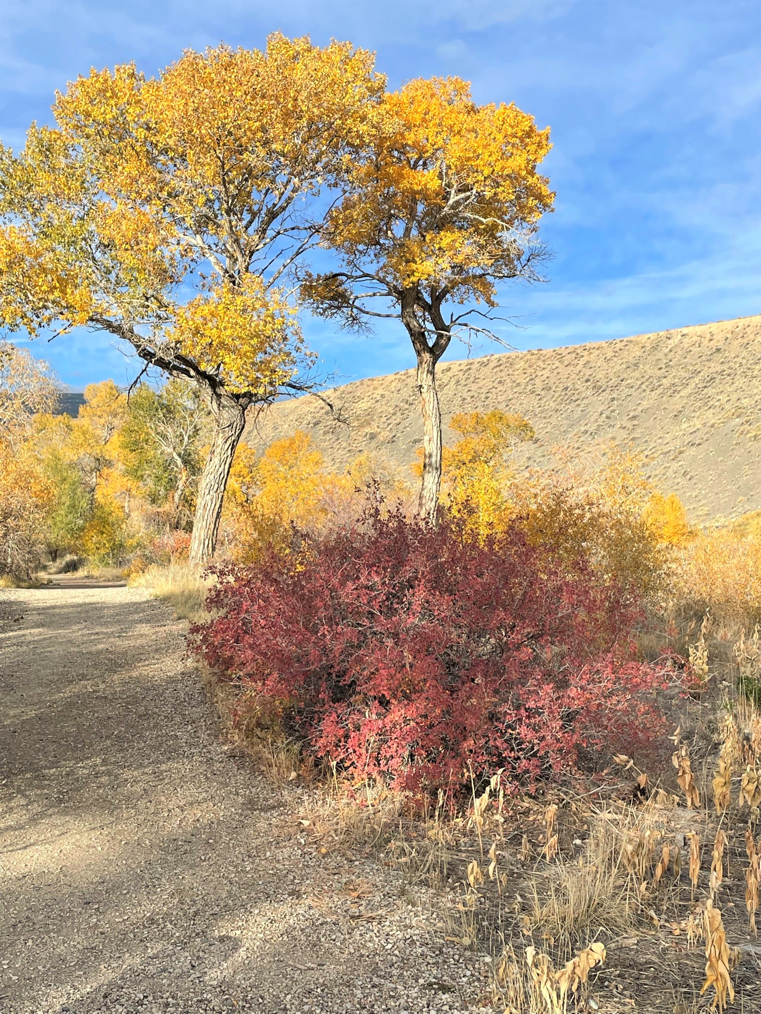 Hiking trail in Cody, Wyoming