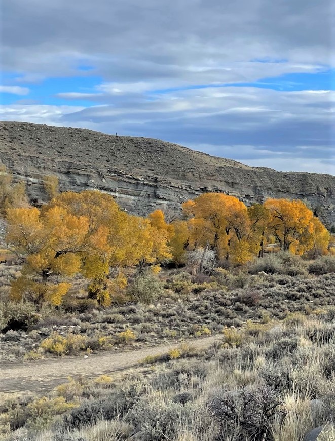 Hiking trail in Cody, Wyoming