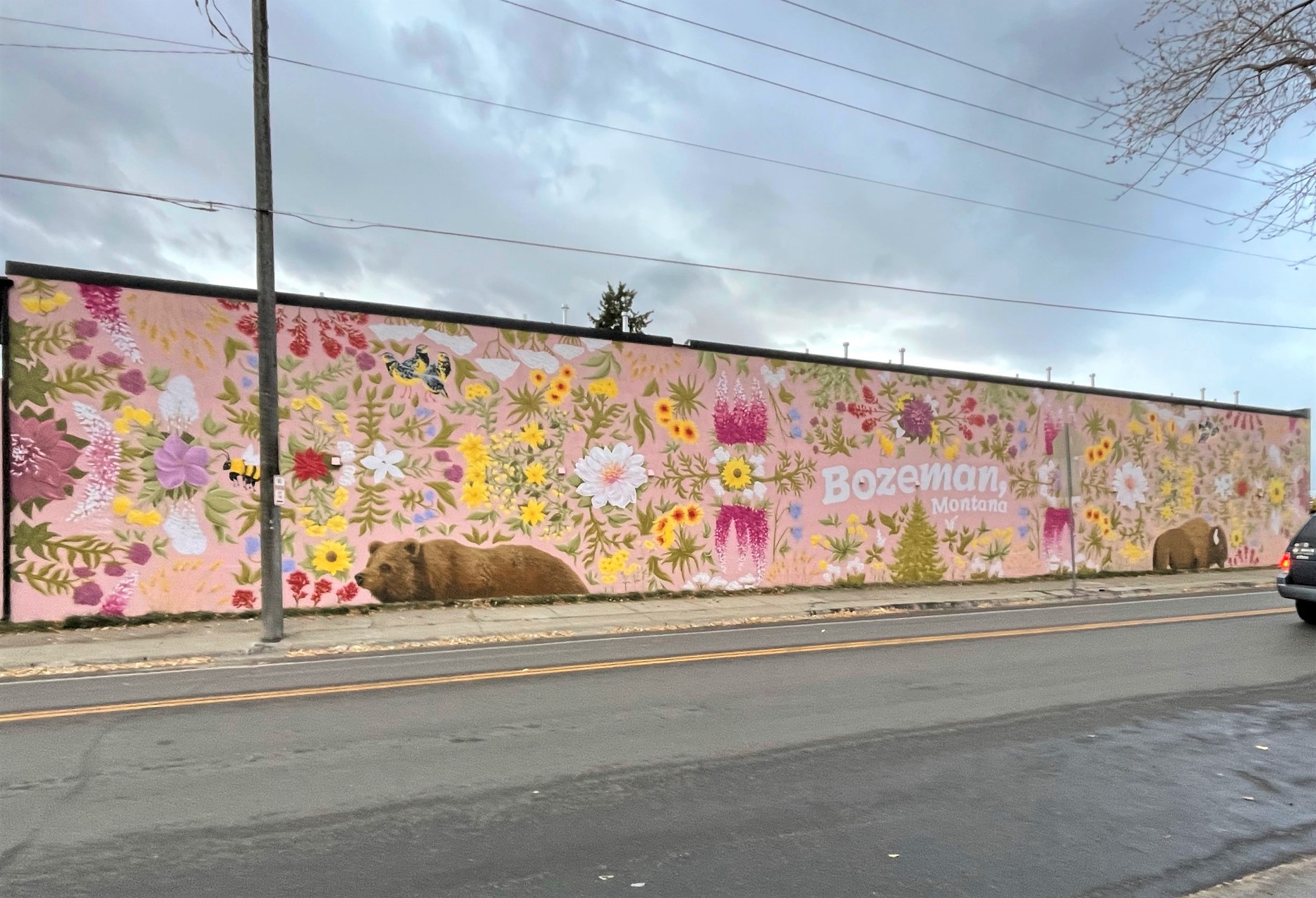 Mural in Bozeman, Montana