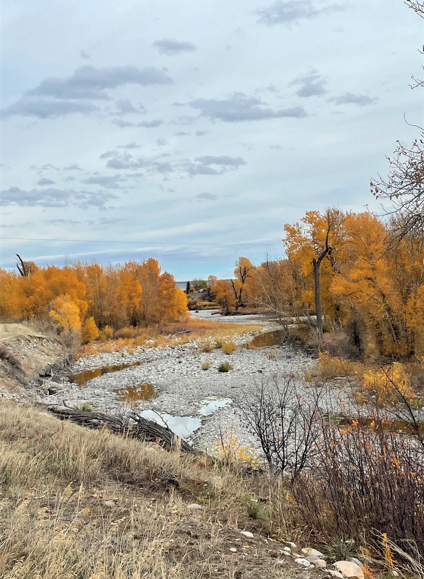 River in Big Timber, Montana