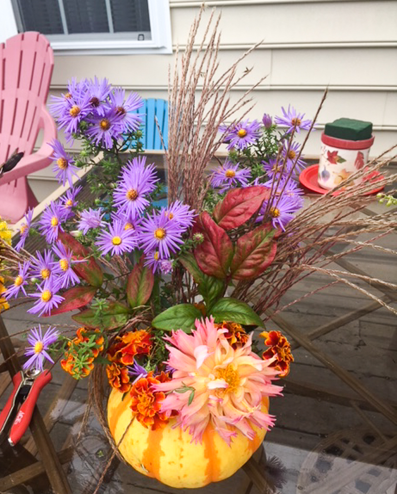 Ideas for Making Pumpkin Flower Arrangements