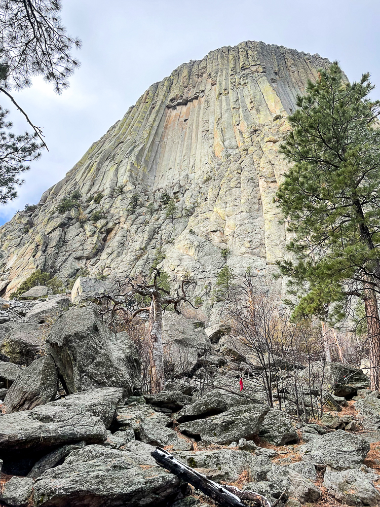 Devils Tower in the Black Hills of Wyoming