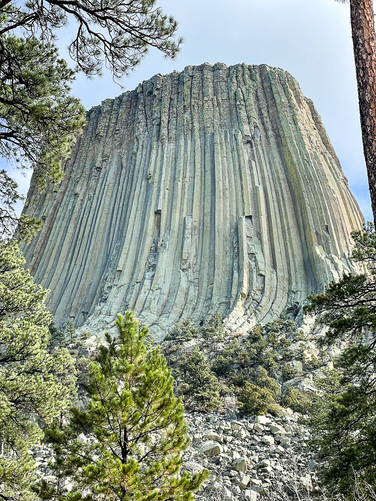 Devils Tower in the Black Hills of Wyoming