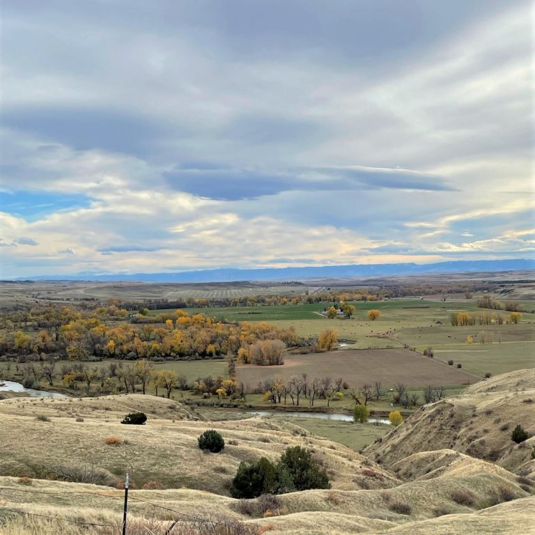 Little Bighorn