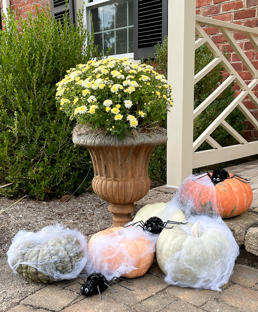 pumpkins arranged around a mum filled urn decorated with spiderweb and spiders