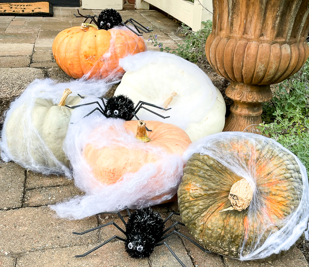 pumpkins arranged around a mum filled urn decorated with spiderweb and spiders