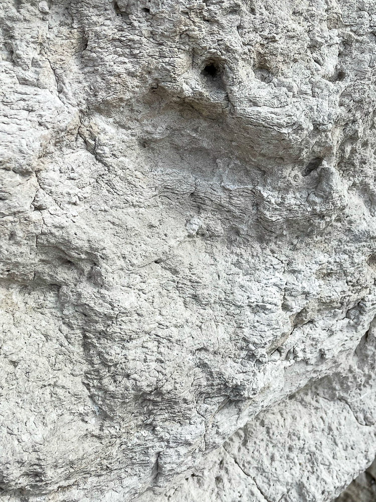 Agate Fossil Beds in Harrison, Nebraska