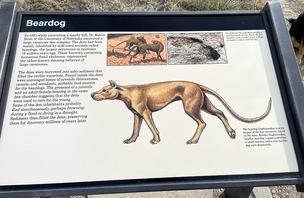 Agate Fossil Beds in Harrison, Nebraska