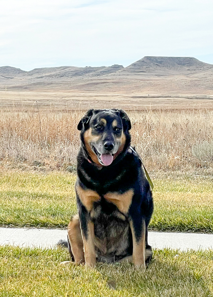 Agate Fossil Beds in Harrison, Nebraska