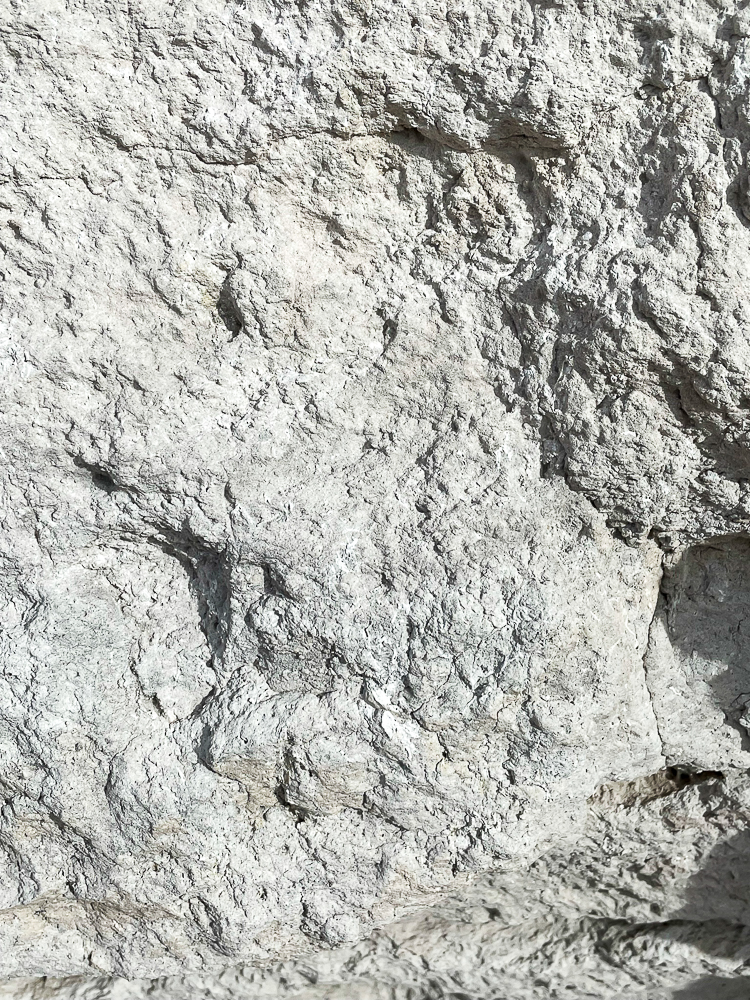 Agate Fossil Beds in Harrison, Nebraska