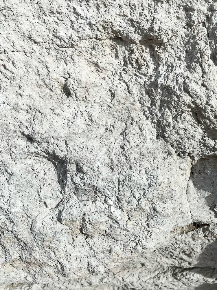 Agate Fossil Beds in Harrison, Nebraska