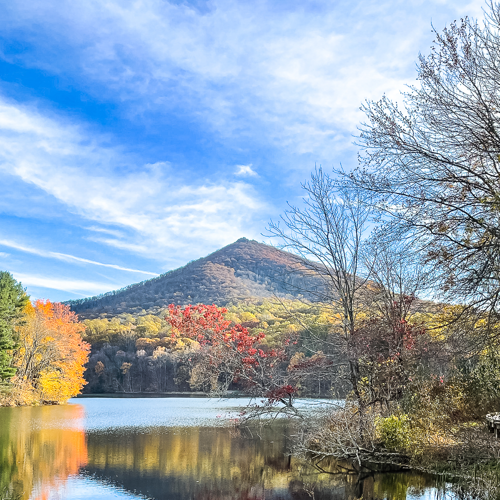 Sharp Top at The Peaks of Otter in Bedford, VA