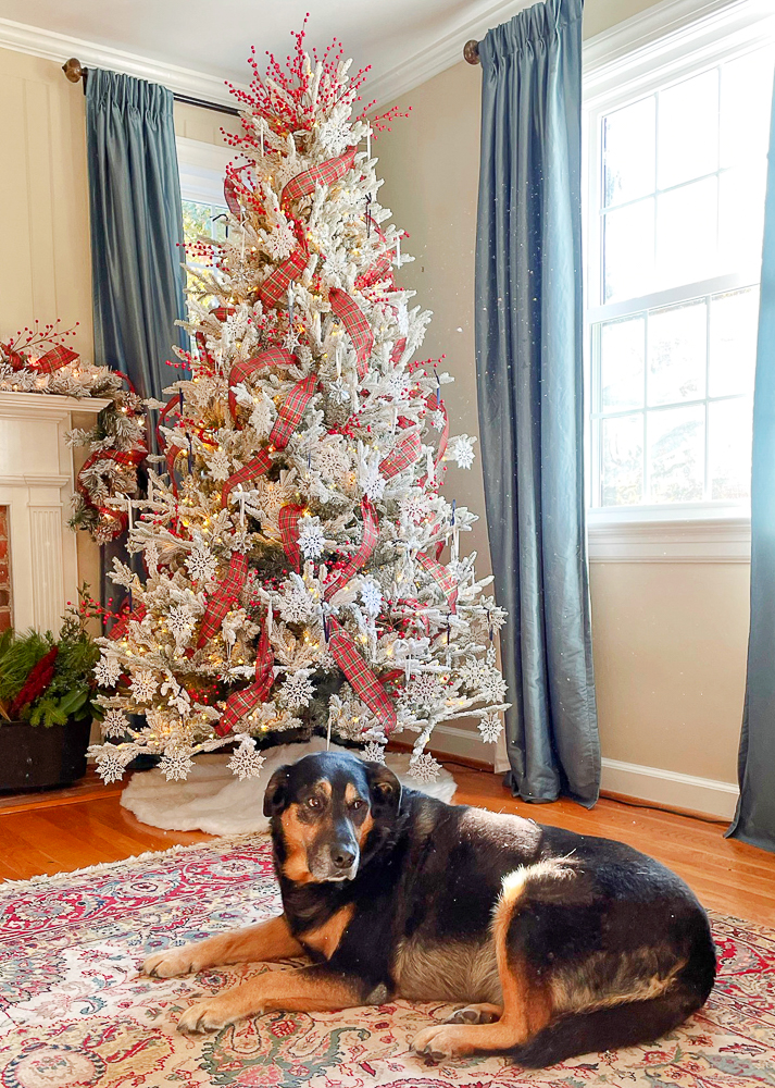 Traditional Flocked Christmas Tree with Swarovski Snowflake Ornaments