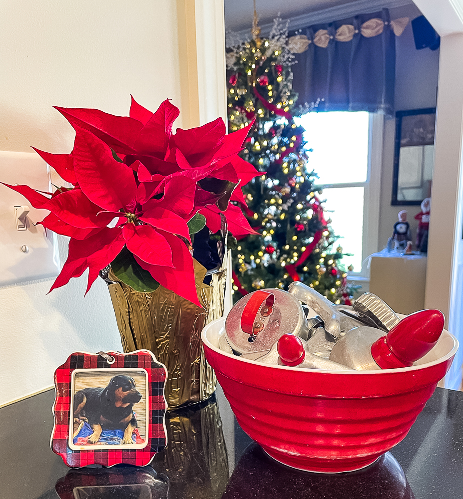 vintage cookie cutters in a red bowl, red poinsettia, framed picture of Sherman Skulina